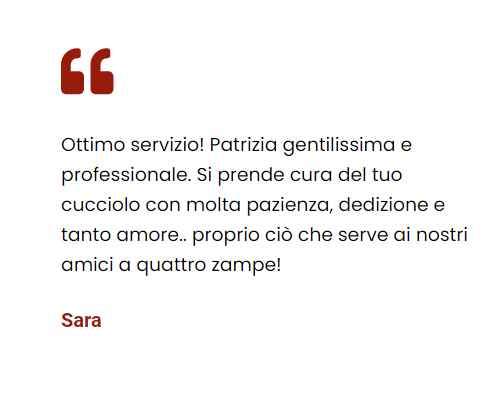 RECENSIONE SARA